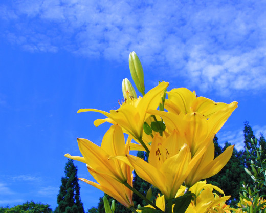 432813 (a): :1280x1024